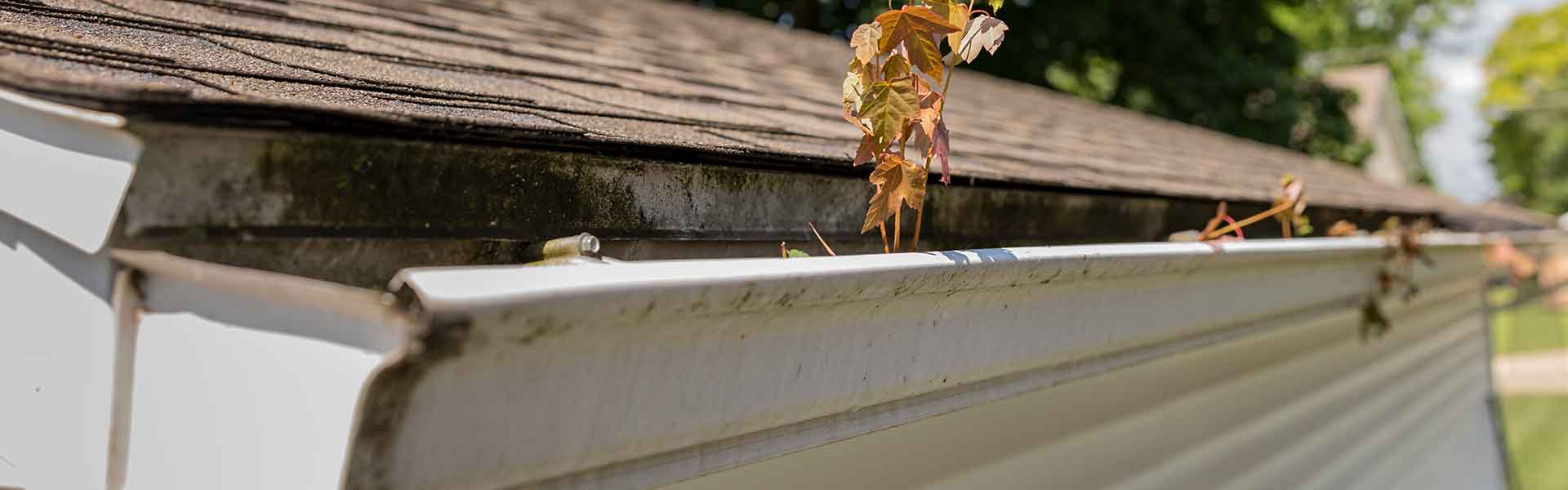 clogged gutter on a home