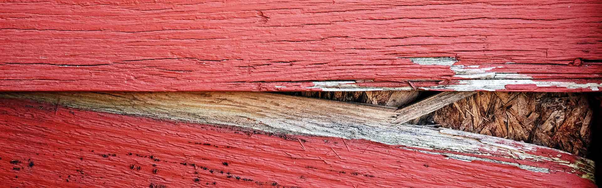 red wood siding rotting