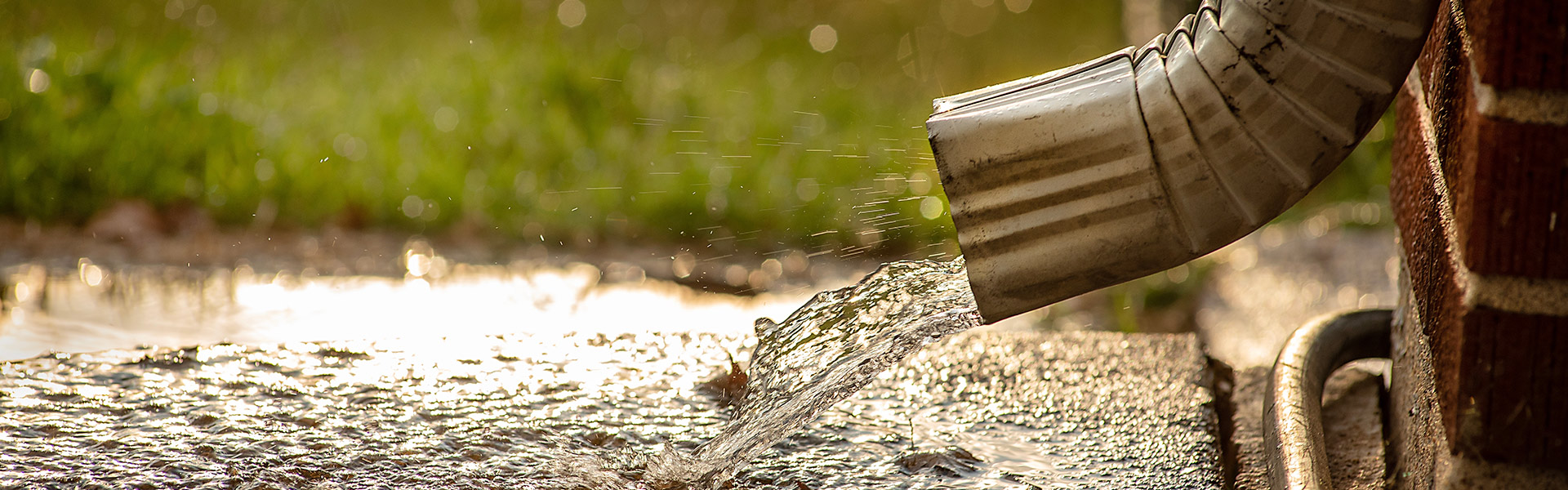 Water from the gutters