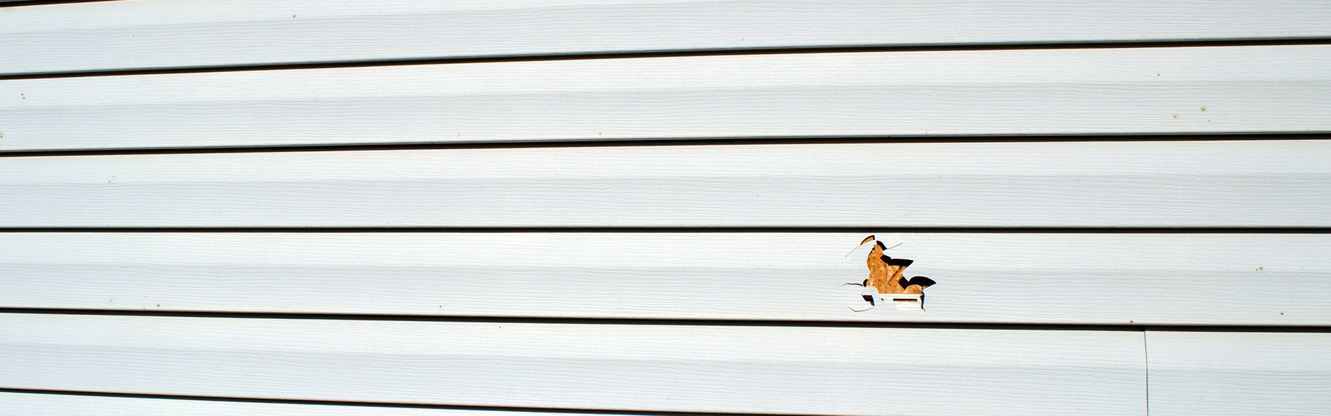 Vinyl Siding